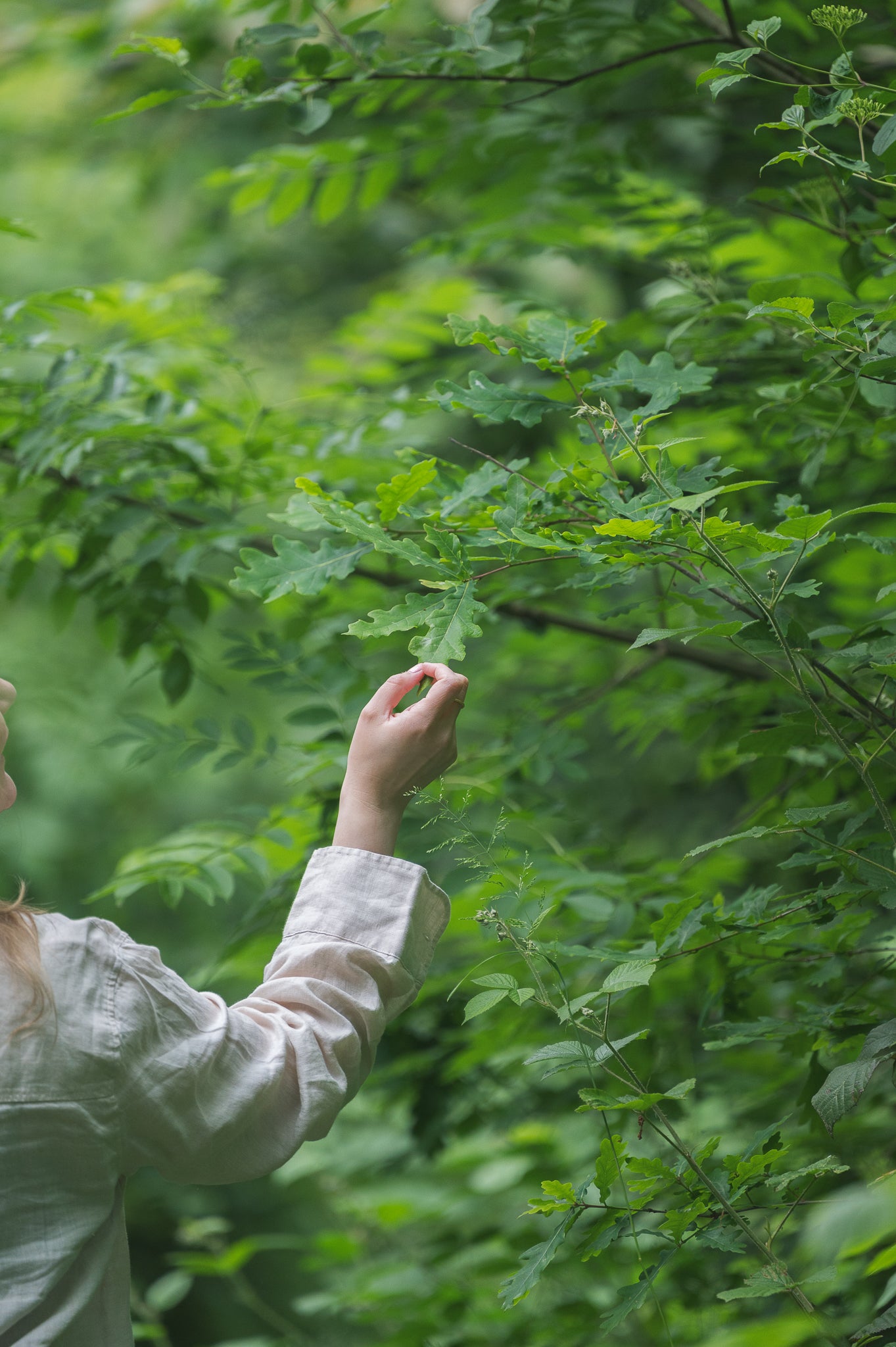 Bain de Forêt Lausanne