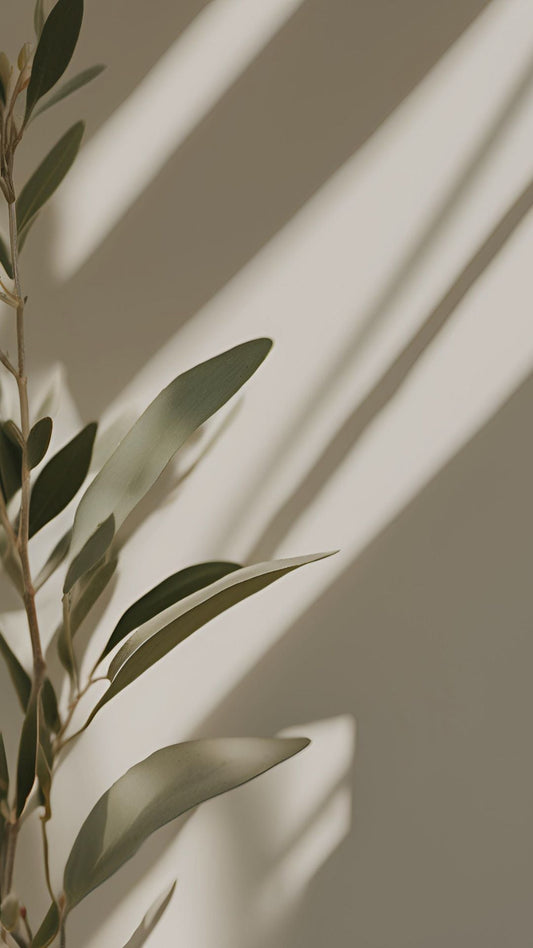 Harmoniser ses décisions