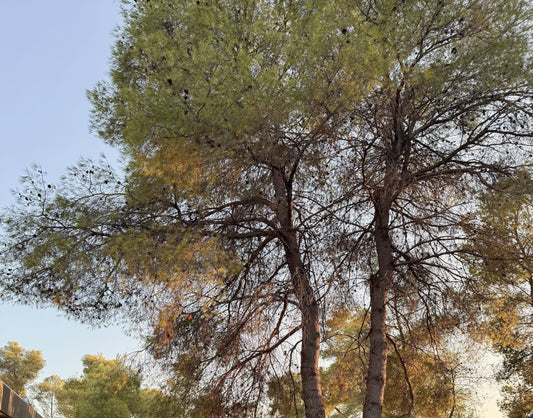 Ce qu’un paysage peut réveiller