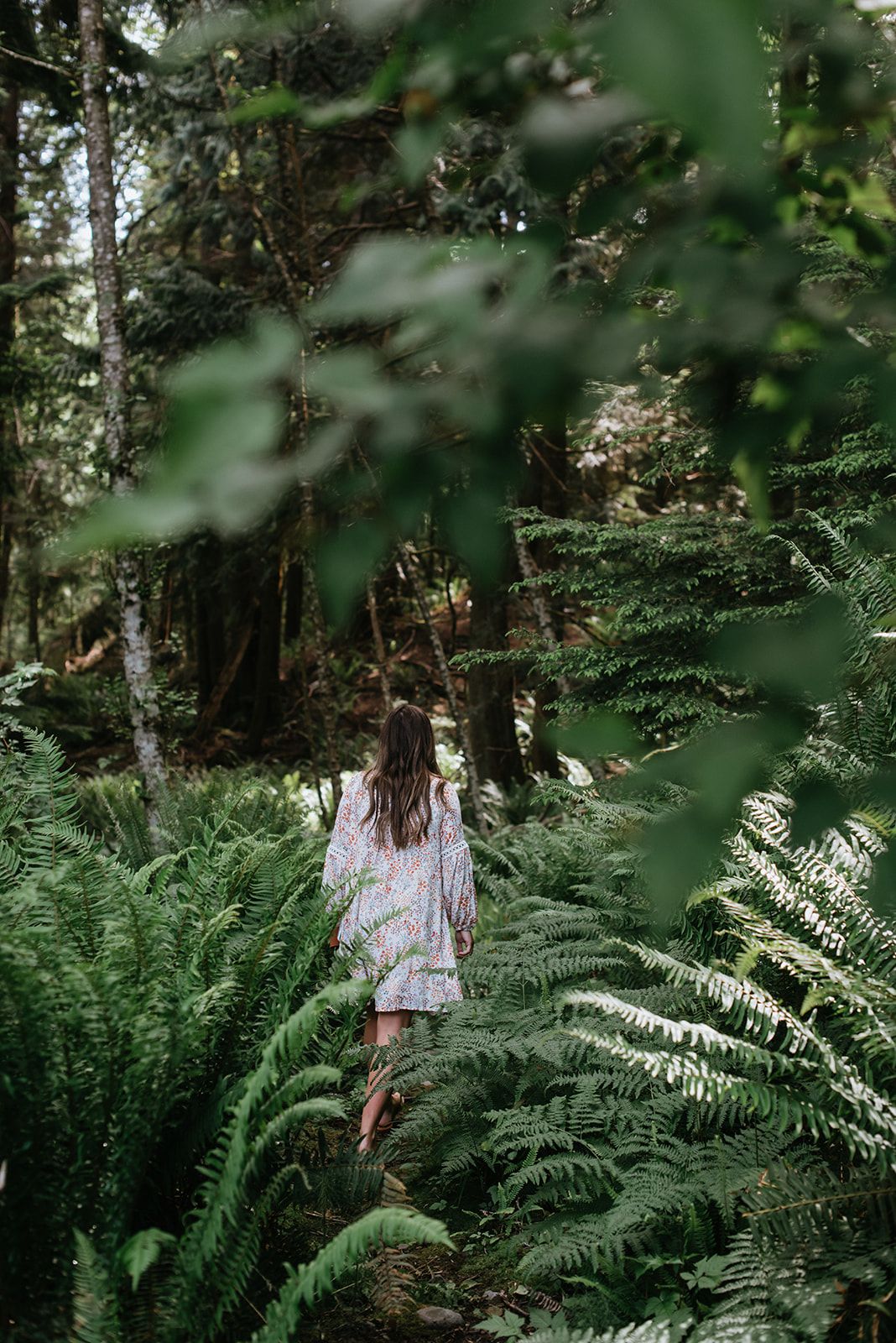 Séance individuelle – Fleurs de Bach en forêt